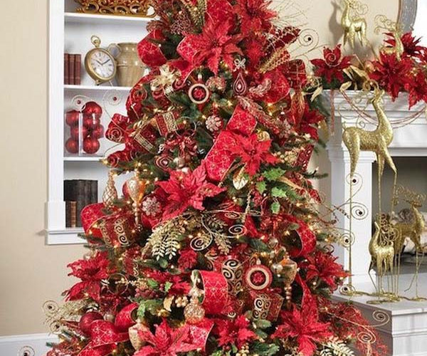 What flowers are popular at Christmas?