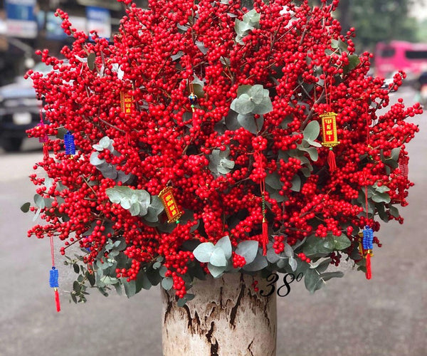 Lunar New Year Decorations and Flowers In Vietnam