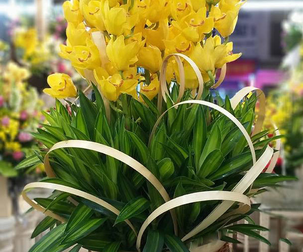 Lunar New Year Flowers Arrangements