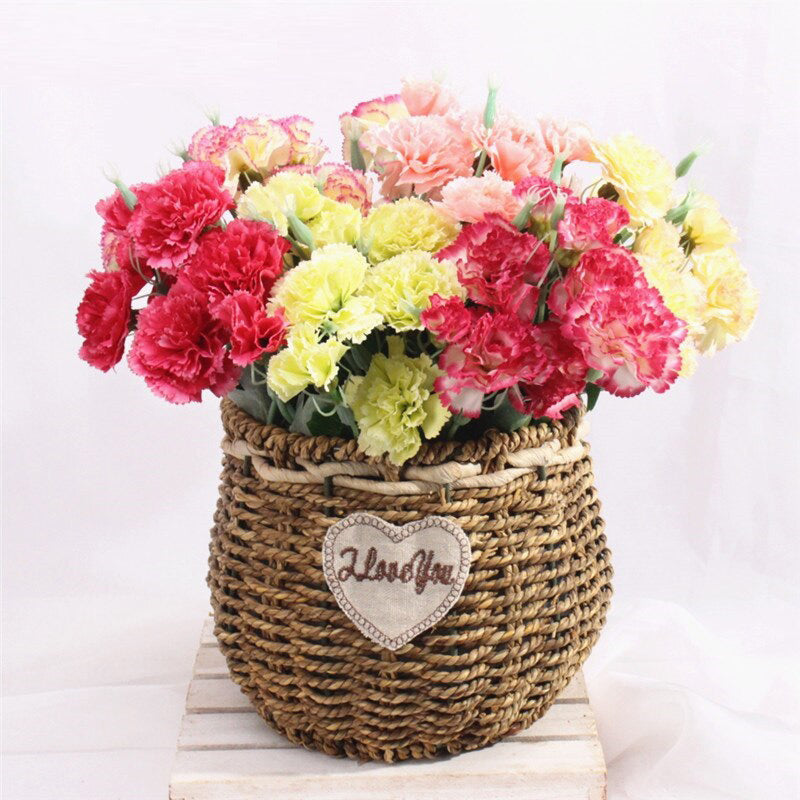 Send Carnation Flower To Vietnam Vietnamese Flowers