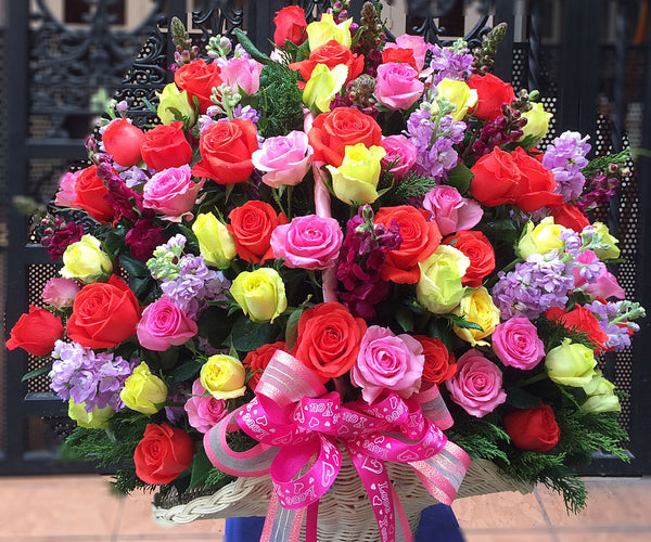 Son La Flowers