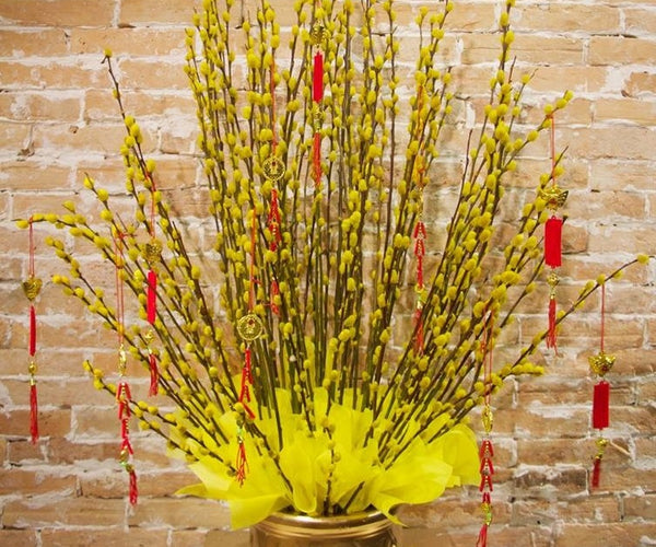 Top Lucky New Year Flowers in Vietnam