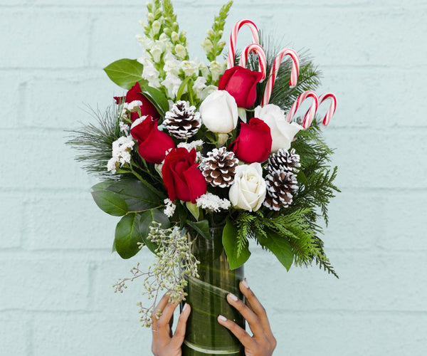 Why do we give flowers as gifts in Christmas?