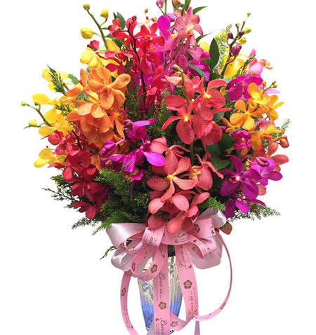 Blooming Orchid In Vase Vietnam