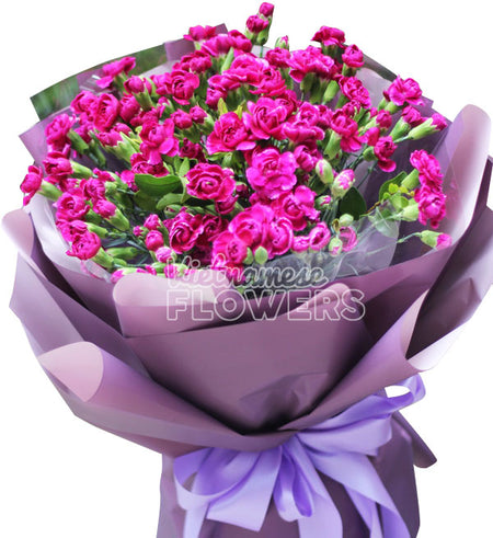Carnation Flower 01 - Vietnamese Flowers