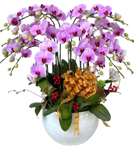 Luxury Blossom Orchid Pot Vietnamese Flowers