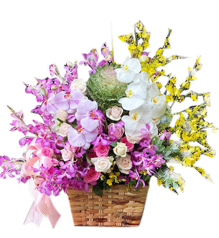 Mixed Orchids #2 - Vietnamese Flowers