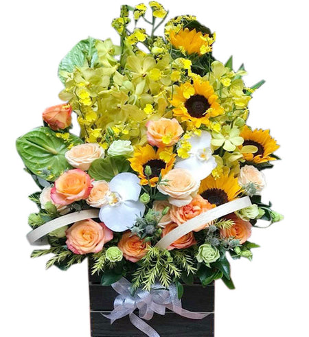 Mixed Orchids 10 - Vietnamese Flowers