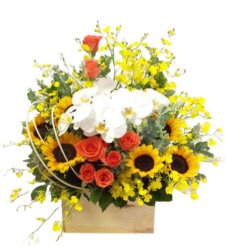 Mixed Orchids 15 - Vietnamese Flowers