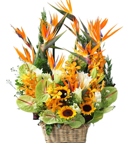 Mixed Orchids 25 - Vietnamese Flowers