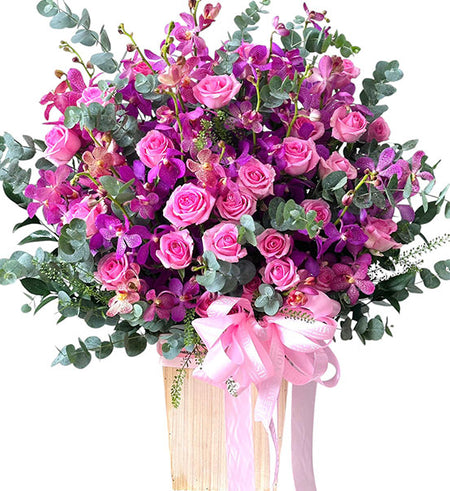 Mokara Blooming Love Basket Vietnam