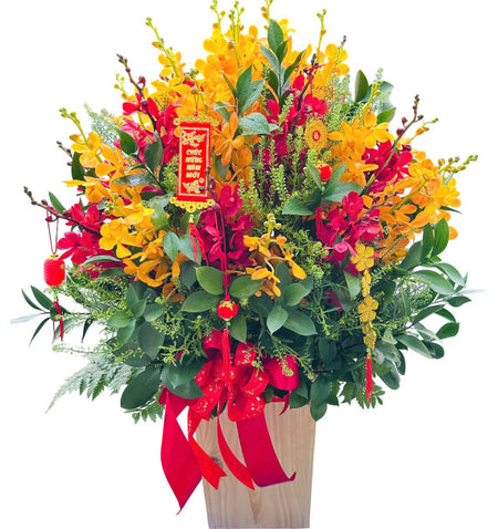 Mokara Orchid Blooming Basket Vietnam