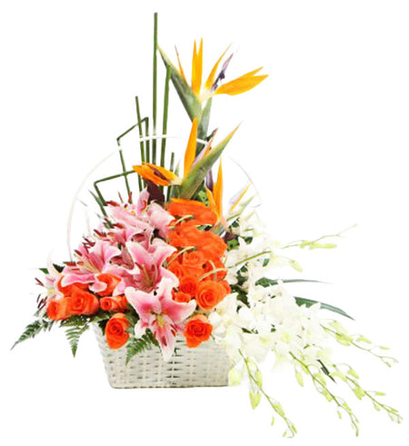 Orchids & Lilies 11 - Vietnamese Flowers