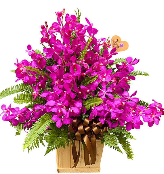 Orchids For Mom 10