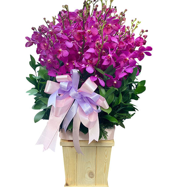 Orchids For Mom 11