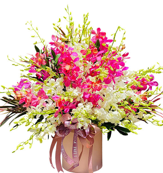Orchids For Mom 12