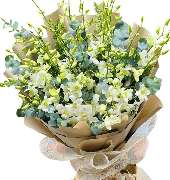 Orchids For Mom 14