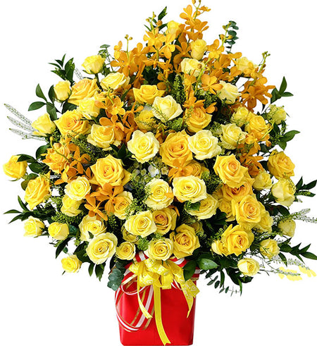 Premium Tropical Mokara Basket Vietnam