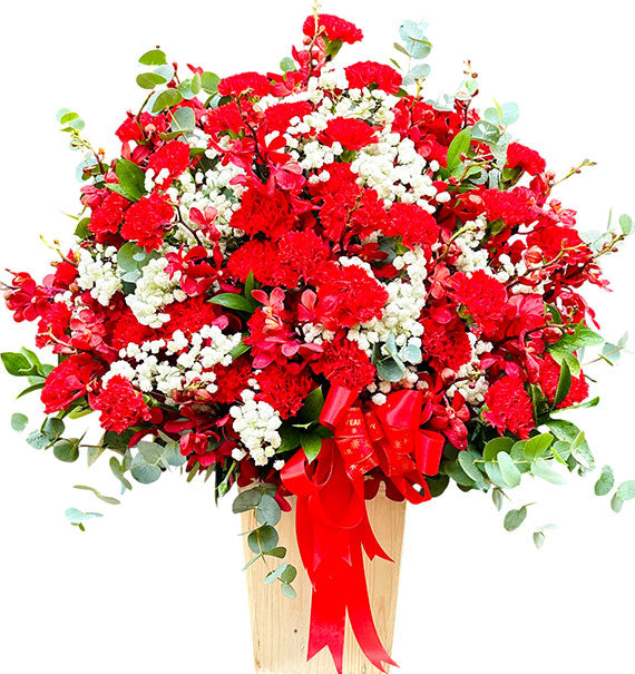 Special Mother’s Day Orchids 04