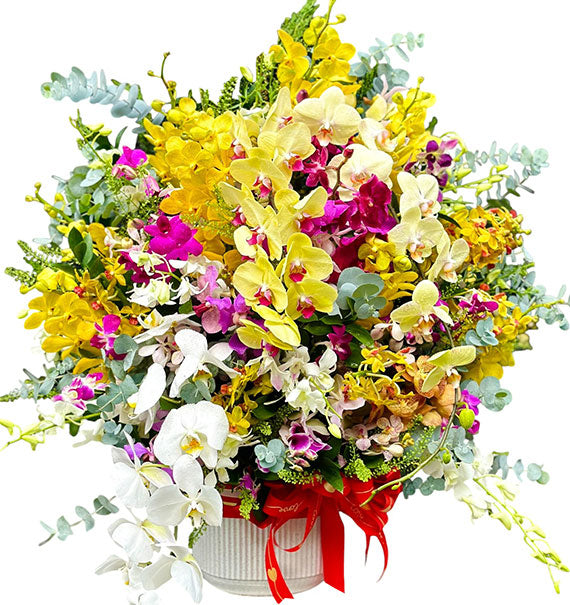 Special Mother’s Day Orchids 14