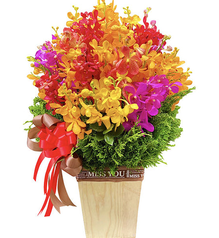Tropical Mokara Orchid Basket Vietnamese Flowers