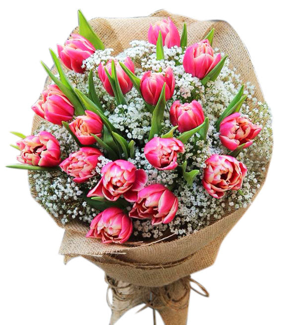 Tulips Flowers 02 - Vietnamese Flowers