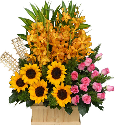 Mixed Orchids 30 - Vietnamese Flowers