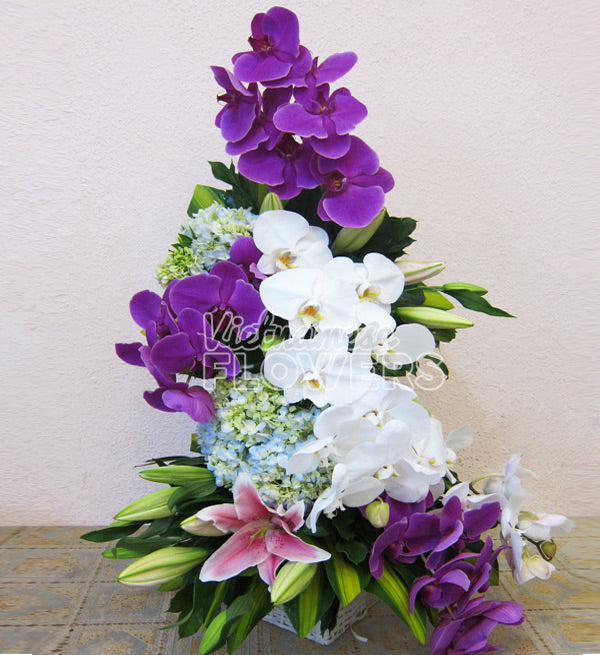 Orchid Flowers Vietnam - Vietnamese Flowers