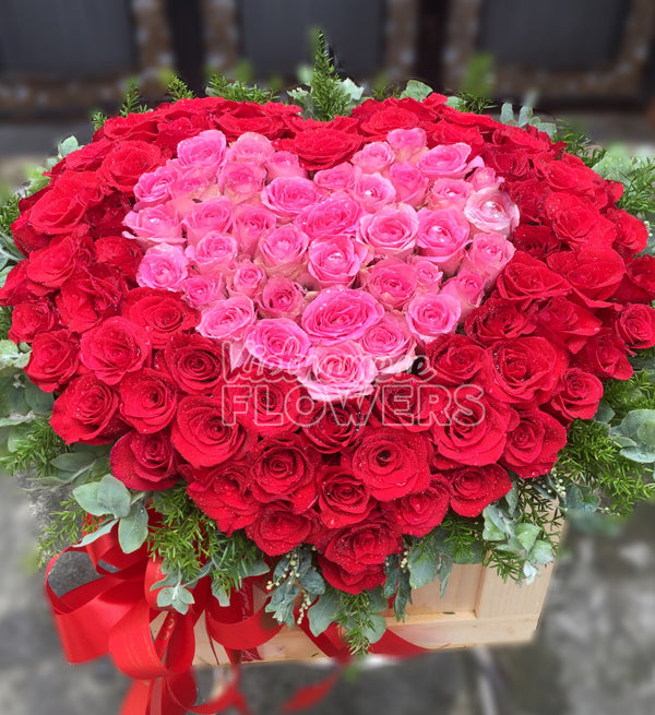 Roses In Vietnam - Vietnamese Flowers