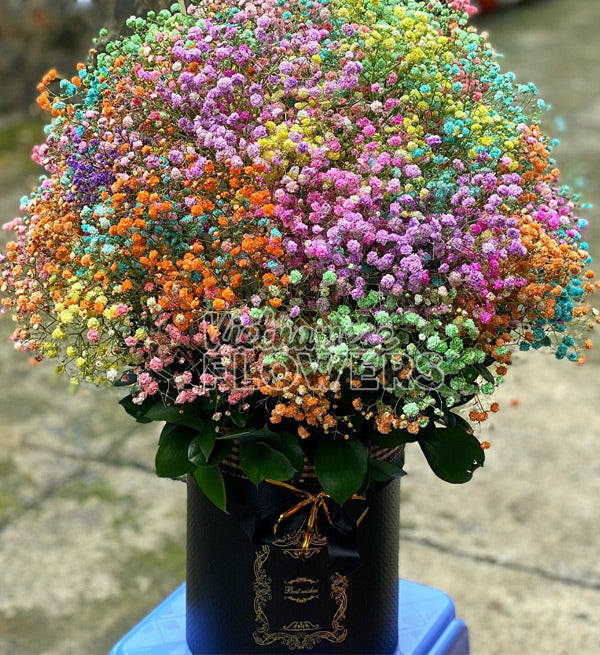 Vietnamese Teacher's Day Flowers 17 - Vietnamese Flowers