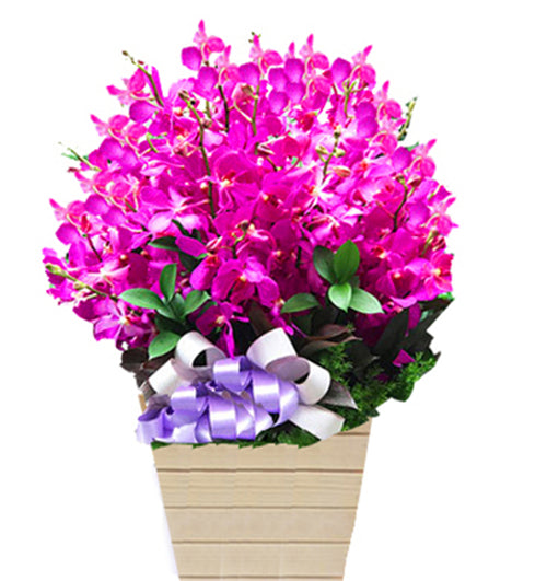 Women's Day Flowers 29 - Vietnamese Flowers