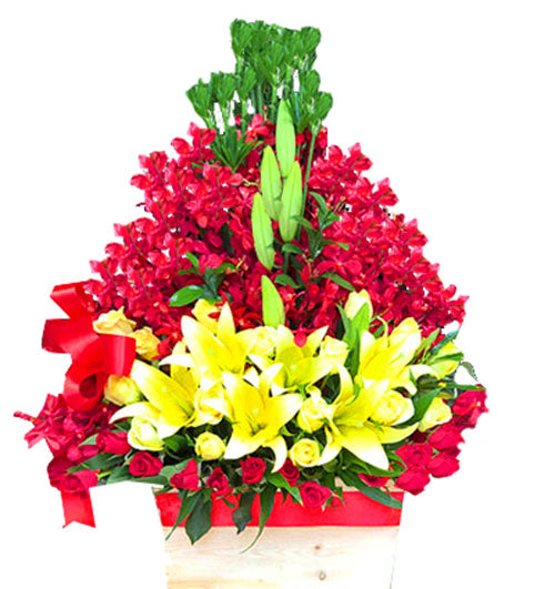 Women's Day Flowers 30 - Vietnamese Flowers