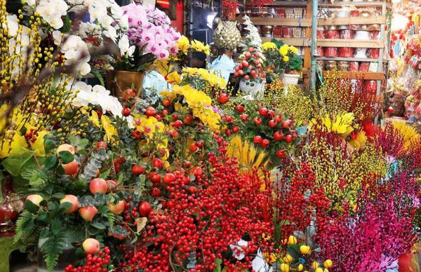 Top 10 Beautiful Indoor Flowers for Tet Vietnam