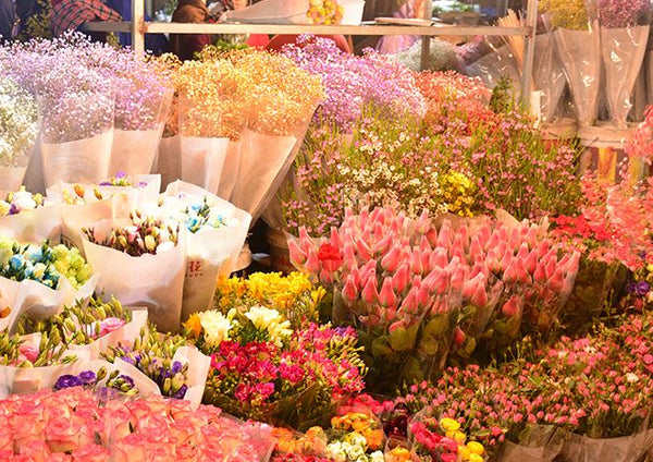 Ho Thi Ky Flower Market Ho Chi Minh City