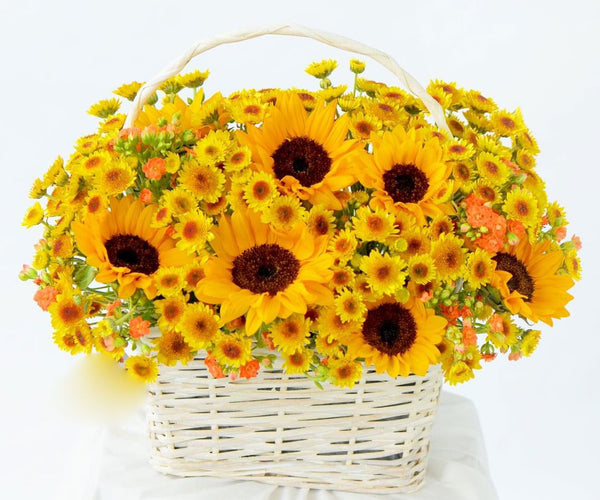 Quang Tri Flowers