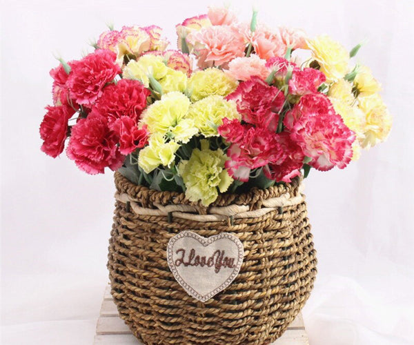 Send Carnation Flower To Vietnam