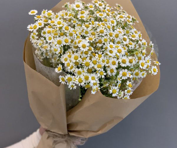 Send Daisy Flower To Vietnam