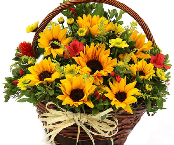Send Flowers To Lao Cai