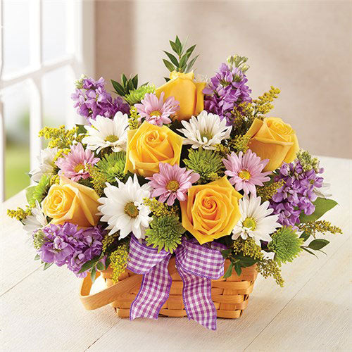 Send Flowers To Ninh Thuan