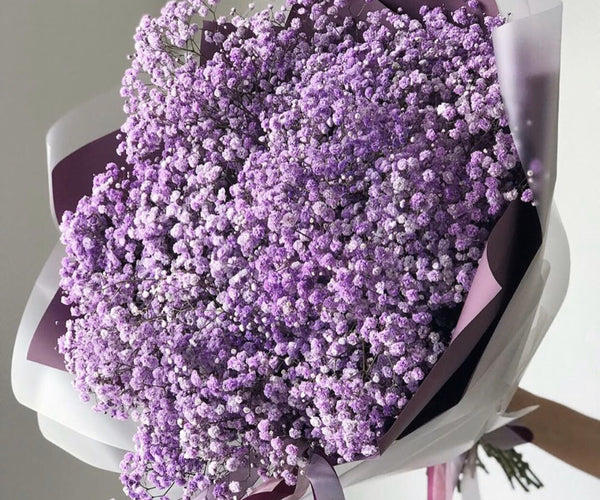 Send Gypsophila Baby's Breath Flowers To Vietam