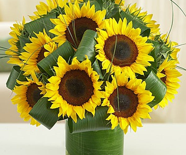 Send Sunflowers To Vietnam