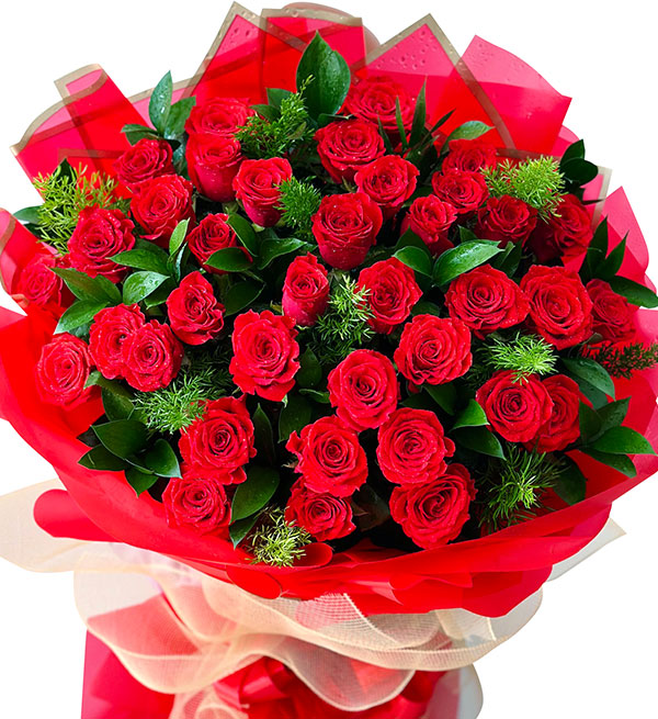 36 red roses for valentine 02