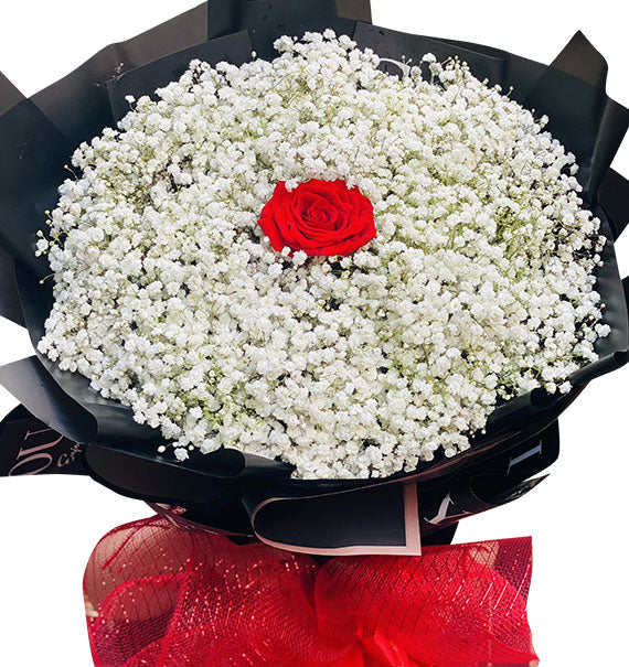 Baby’s Breath Bouquet Vietnam