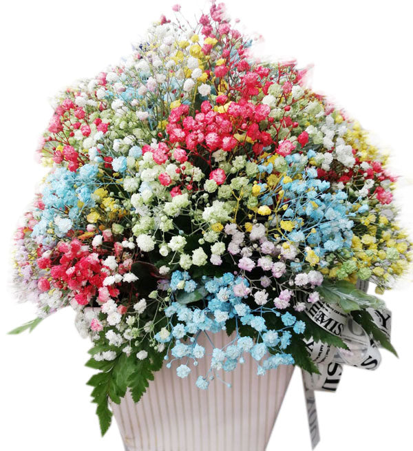 Birthday Flowers For Her 95 - Vietnamese Flowers