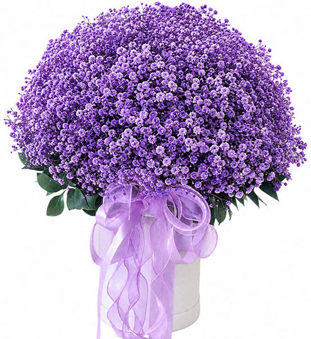 Blooming Baby’s Breath Basket Vietnam
