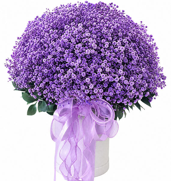 Blooming Baby’s Breath Basket Vietnam