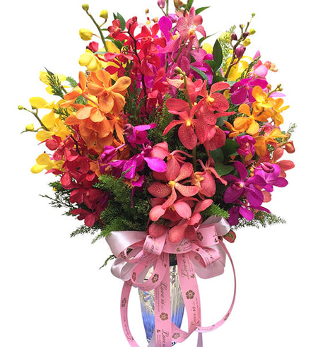 Blooming Orchid In Vase Vietnam