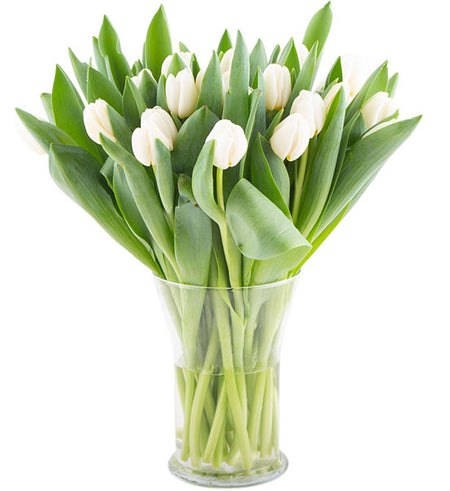 Blooming Tulip Vase Vietnam