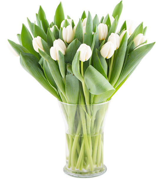 Blooming Tulip Vase Vietnam