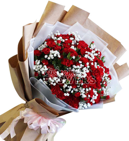 Carnation Flower 02 - Vietnamese Flowers